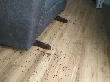 Dodson Pest Control photo 3