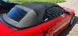 PROTINT WHITBY photo 2