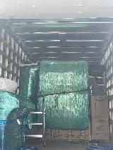 Incredible Movers photo 7