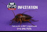 Mr Bug Pest Control photo 2