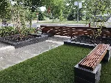 Cactus Landscaping & Construction