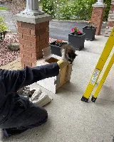 Orkin Canada Pest Control photo 6