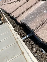TNT Pest Control Service photo 4