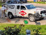 Orkin photo 5