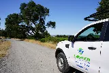 Sono-Marin Pest photo 4