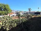 Centurion Landscaping photo 5