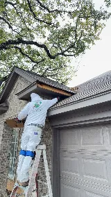 DGP Painting photo 6