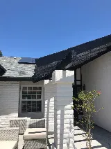 Pest Patrol, Inc. photo 8