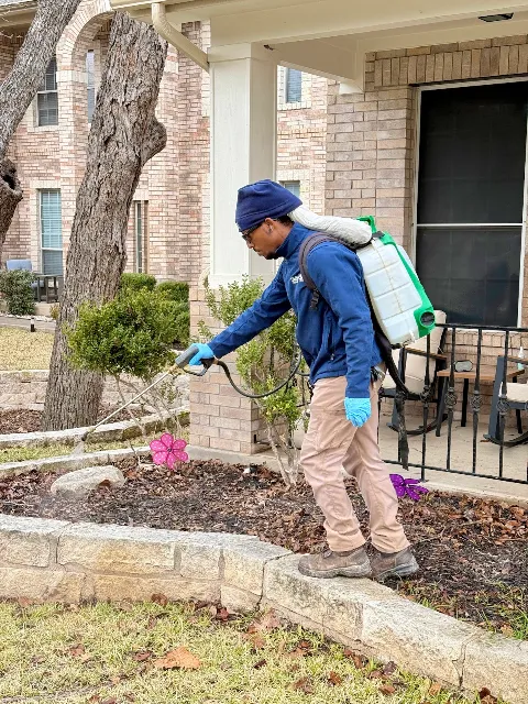 Austin Pest Control photo 1