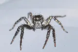 Pro Pest and Lawn Store photo 4