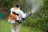 Modern Pest Services photo 4