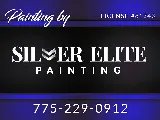 Silver Elite Painting