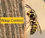 Savvy Pest Control photo 4