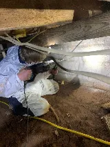 JNS Pest Control photo 3