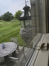 Kendall Pest Control // Pest & Rodent Control Services// photo 6