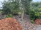 New West Landscape Management, Inc. photo 3