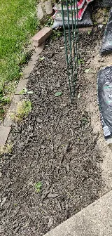 Barr Landscaping & Lawn Service, Inc. photo 3
