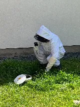 Jordan Pest Control LLC photo 3