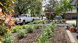 Gardens for Texas photo 8
