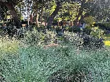 Levy's Landscaping photo 4