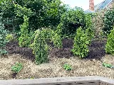 Jared Johnston Landscaping photo 5