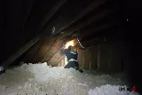 Brilliex Pest Control