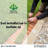 Prime Landscapers photo 4