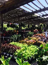 Valley Gardens photo 3