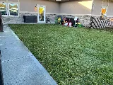Nature’s Creations Lawn & Landscaping photo 3