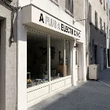 Ace Electrician Glendale
