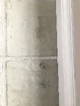 Action Pest Control Services photo 8