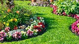 Rooted Lawn & Landscape