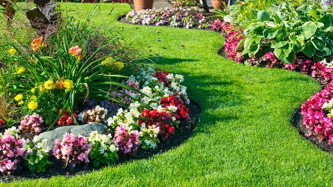 Rooted Lawn & Landscape in Carmel