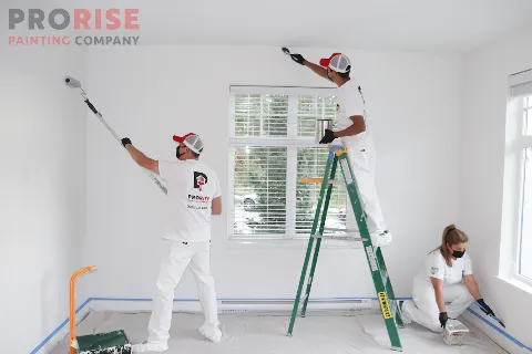 ProRise Painting Company photo 1