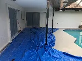 LIME Painting of Southwest Florida photo 2