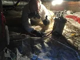Pest Scene Investigations photo 3