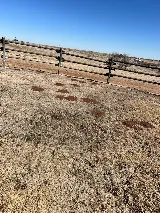 South Plains Pest Control photo 4