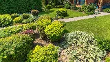 Stone Oak Landscapes LLC