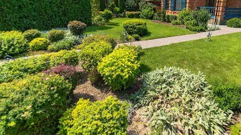 Stone Oak Landscapes LLC photo 1