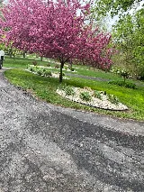 Mendoza Landscaping Construction LLC photo 7