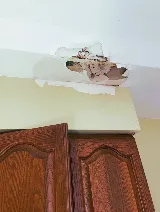 William's Berkeley Roof Repair photo 3