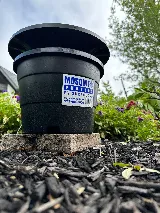 Sureguard Lawn & Pest photo 5