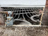 Pestigo Pest Control Toronto photo 6