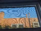 Winning Windows photo 5