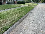 Barefoot Lawns & Lights photo 8