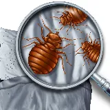 Central Oregon Pest Solutions (COPS) photo 3