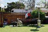 UnBugMe Pest Control & Termite photo 3