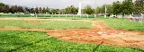 Del Conte's Landscaping photo 5