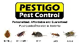 Pestigo Pest Control Toronto photo 3