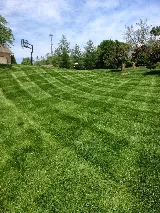 Total Quality Lawn Care and Landscaping, LLC photo 8